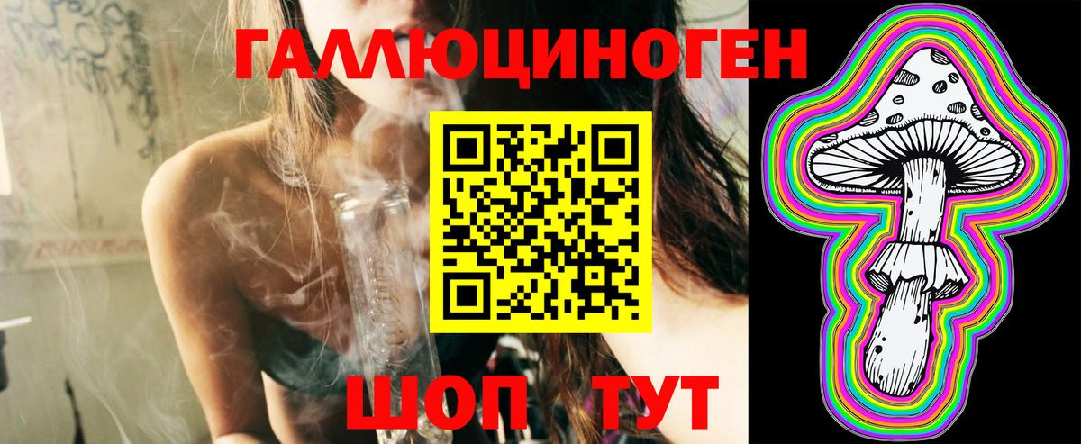 Видное  Галлюциногенные грибы прущие грибы  Вход с VPN 