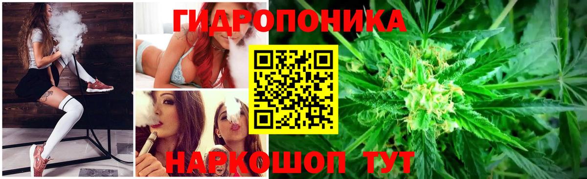 Шишки марихуана марихуана Видное